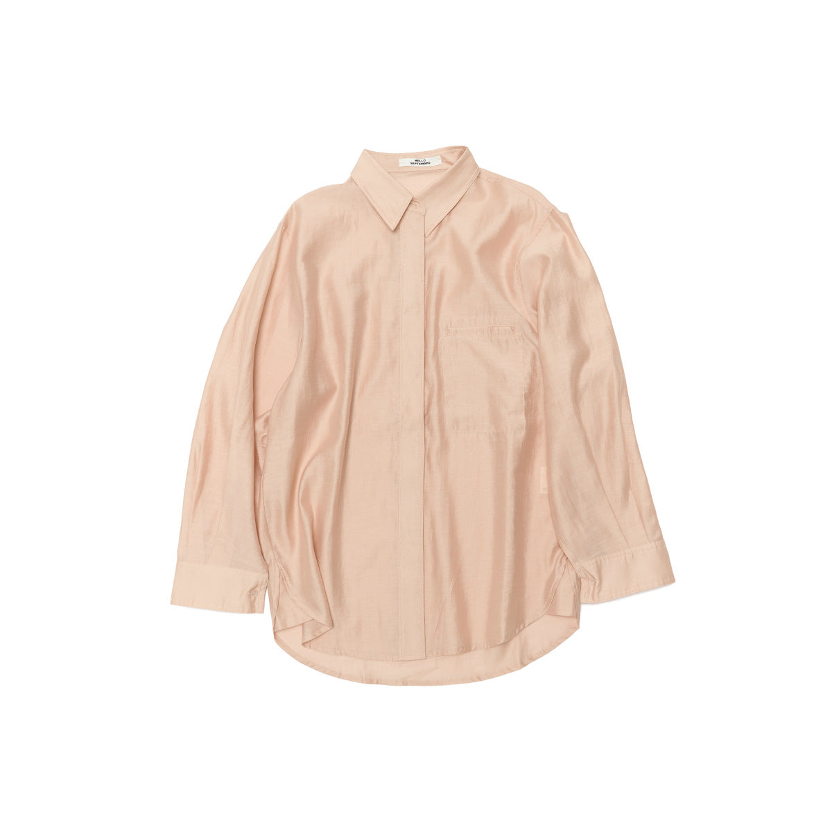 Casual Long Sleeve Blouse Shirt