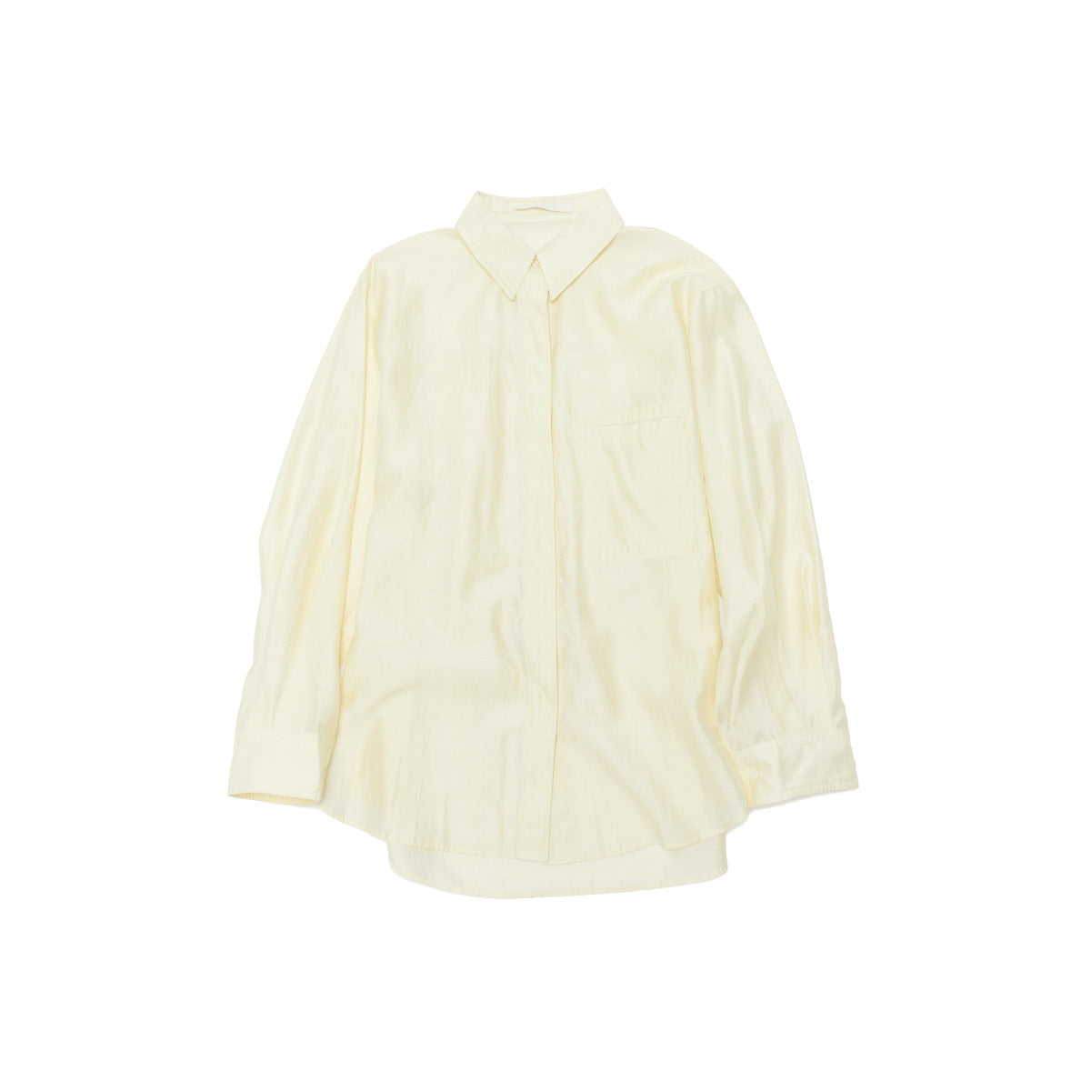 Casual Long Sleeve Blouse Shirt